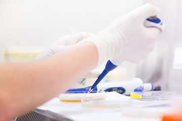 Image showing Life scientist researching in the laboratory.