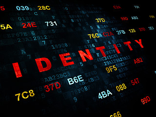 Image showing Privacy concept: Identity on Digital background