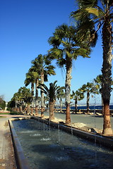 Image showing Fountains and palms