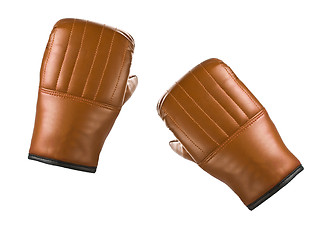 Image showing Pair of yellow leather boxing gloves