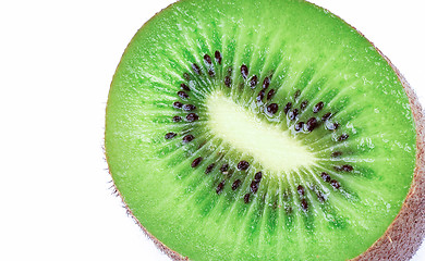 Image showing Kiwi close up