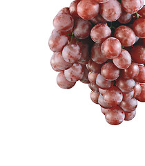 Image showing close up of red grape