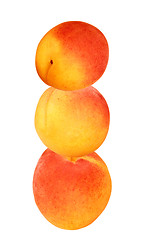 Image showing Ripe peaches