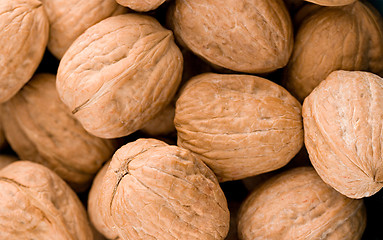 Image showing Walnuts in closeup