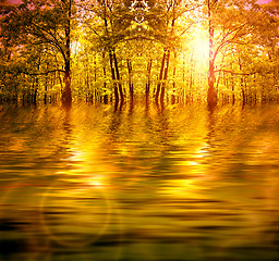 Image showing Forest in autumn