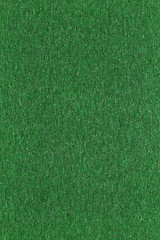 Image showing green canvas