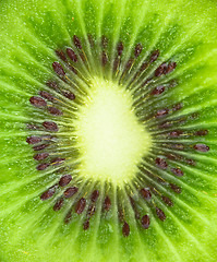 Image showing Close up of kiwi slice