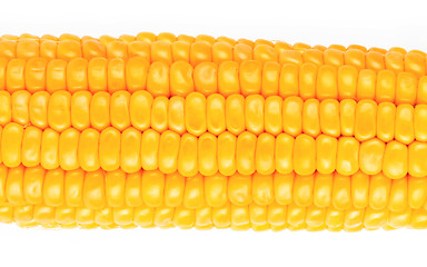 Image showing Corn macro