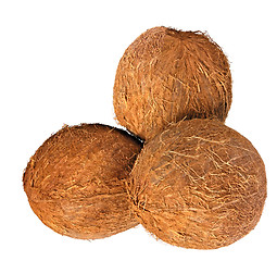 Image showing coconuts
