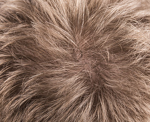 Image showing Human Hair texture background