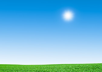 Image showing green field and sky