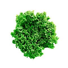Image showing green leaves lettuce