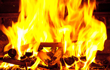 Image showing Fire wood burns in a fireplace