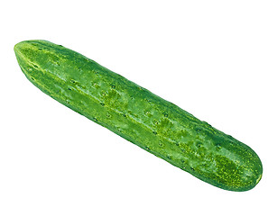 Image showing Cucumber isolated