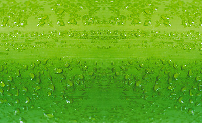 Image showing bamboo with water drops