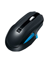 Image showing black mouse