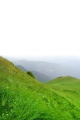 Image showing Green hills