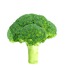 Image showing Fresh raw broccoli isolated on white 