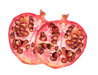 Image showing Pomegranate