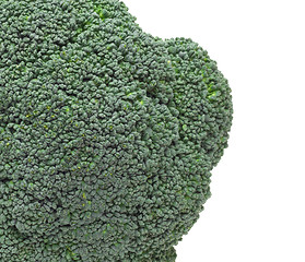 Image showing close up of Broccoli
