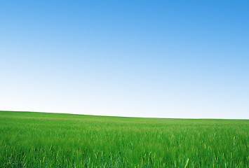 Image showing green field and blue sky