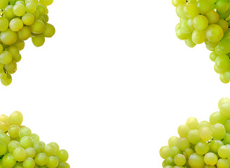 Image showing white grape