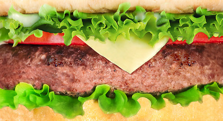 Image showing Big hamburger on white background