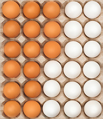 Image showing white and brown eggs in the box