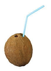 Image showing coconut isolated