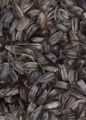 Image showing sunflower seeds background