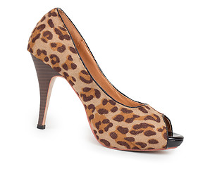 Image showing ladies shoes leopard on a white background