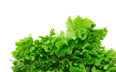 Image showing green salad leaves