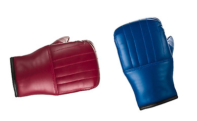 Image showing Boxing gloves 