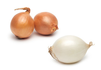 Image showing Ripe onions