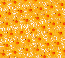 Image showing yellow flower background