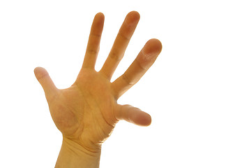 Image showing Contorted hand