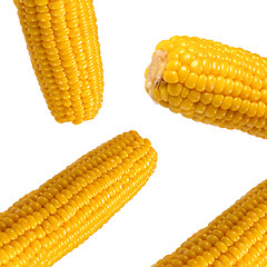 Image showing Sweet Corns isolated