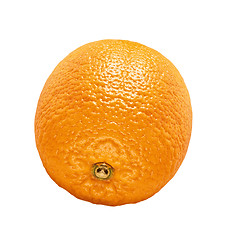 Image showing Orange isolated