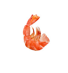 Image showing tiger shrimp isolated on white