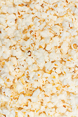 Image showing Salted popcorn grains