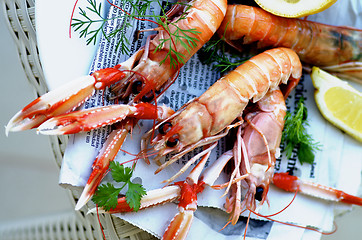 Image showing Langoustines