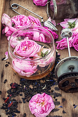 Image showing tea rose buds