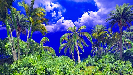 Image showing Tropical island