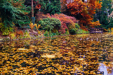 Image showing Japanese garden with pond