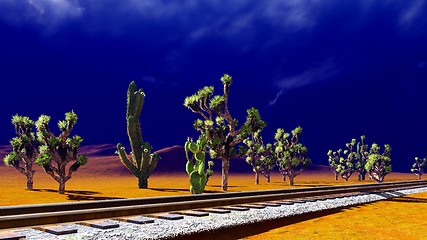 Image showing Joshua trees on desert