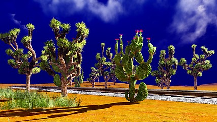 Image showing Joshua trees on desert