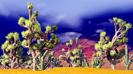 Image showing Joshua trees on desert