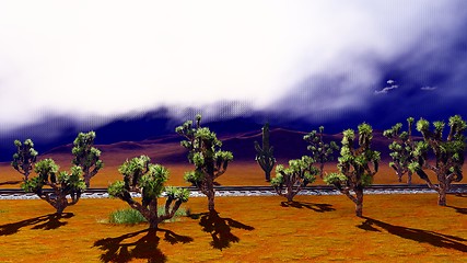 Image showing Joshua trees on desert