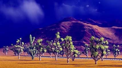 Image showing Joshua trees on desert