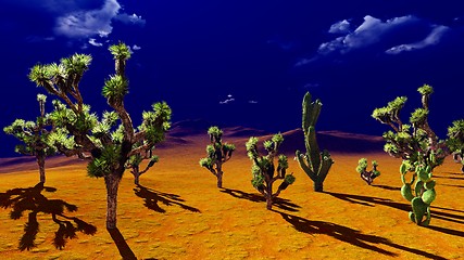 Image showing Joshua trees on desert